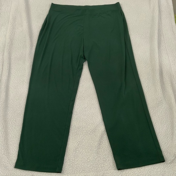 Susan Graver Liquid Knit Straight Leg Pull On Pants Dark Green Comfy 1X - Picture 2 of 13